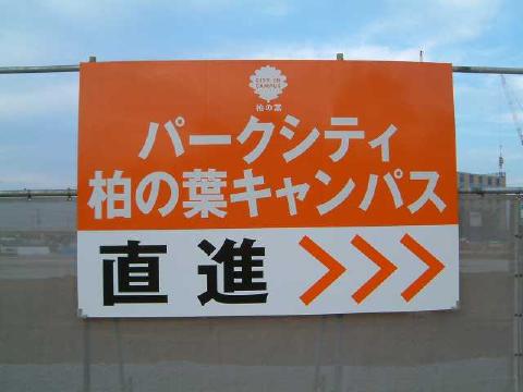 kashiwanoha019
